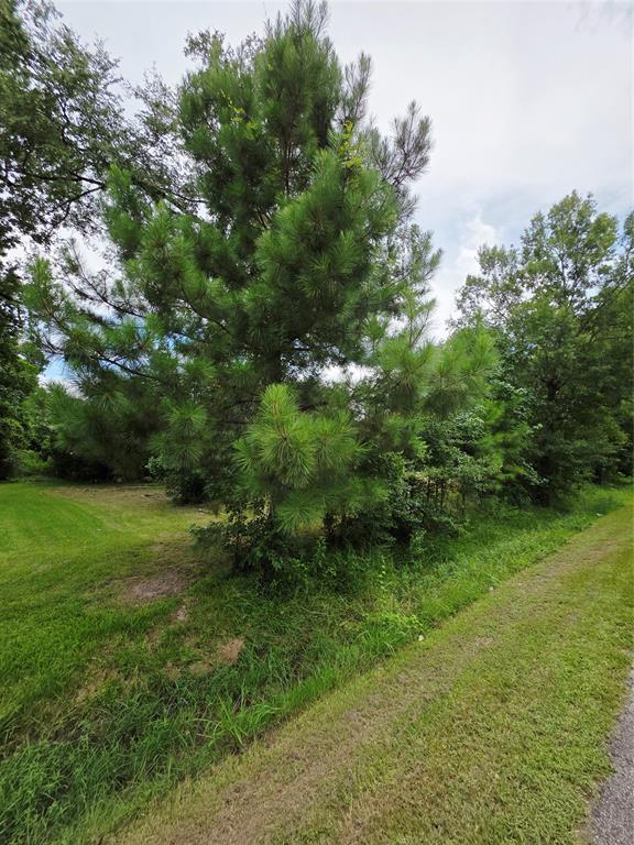 50 Robert E Lee Drive