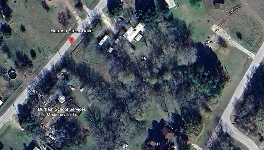 TBD Harmon Creek Drive, Huntsville, Texas image 3