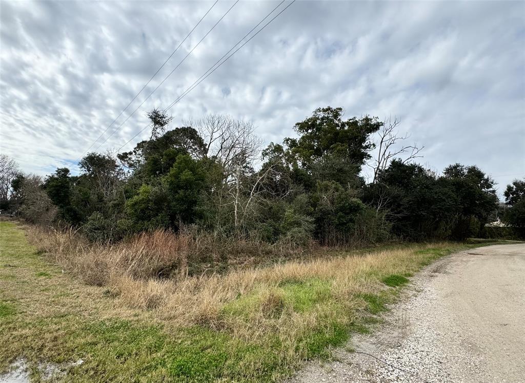 LOT 9 Shannon, Hitchcock, Texas image 1