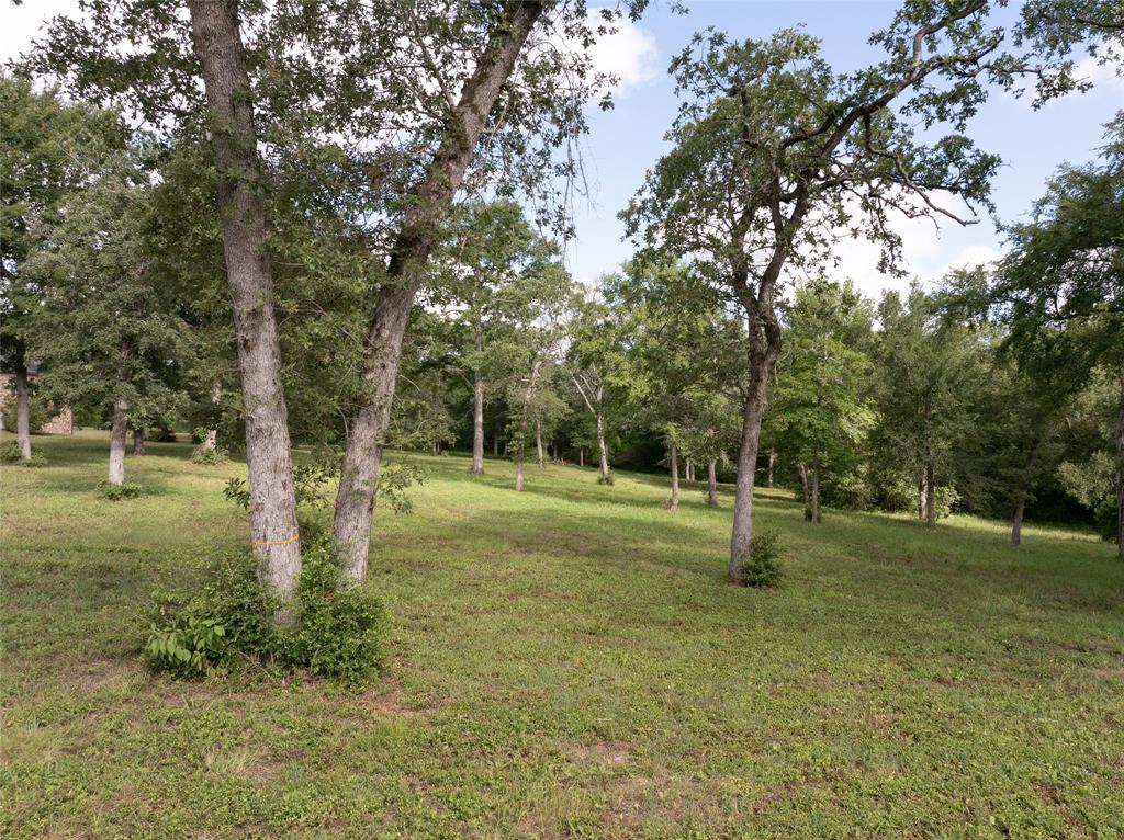 9670 Windsor Avenue, Iola, Texas image 17