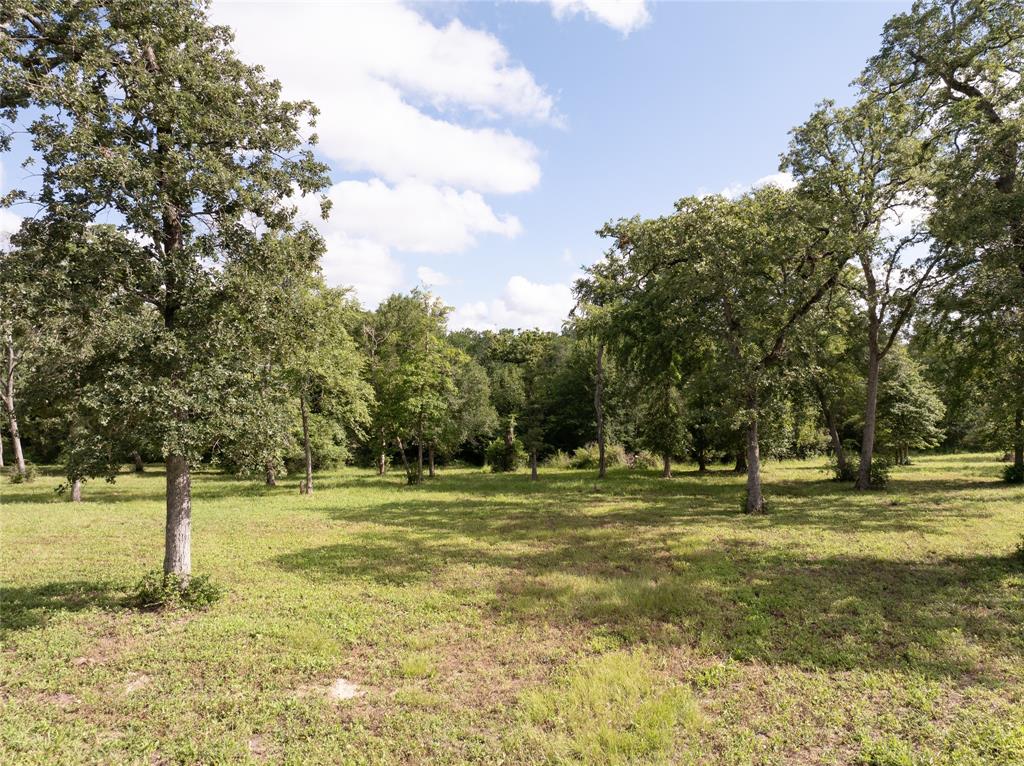 9670 Windsor Avenue, Iola, Texas image 20