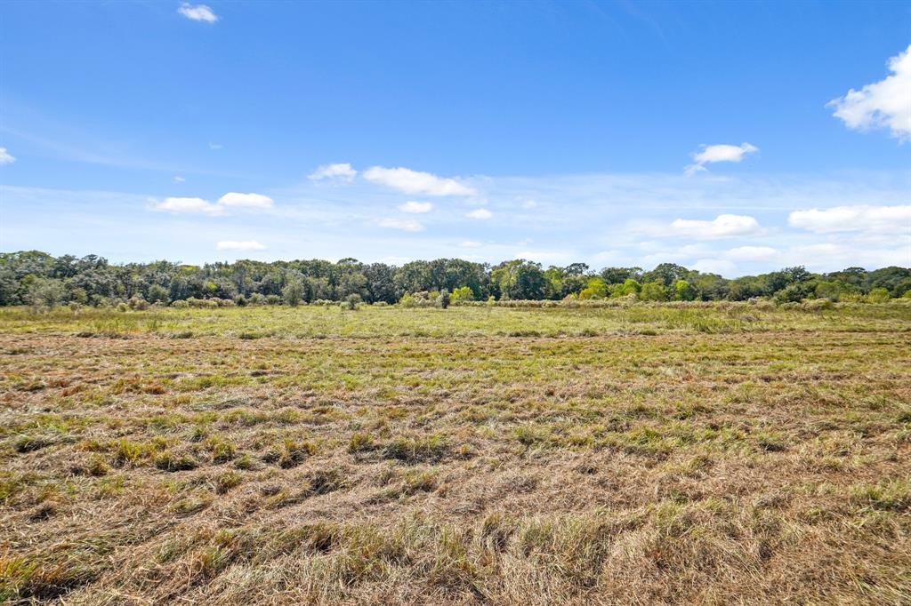 1865 County Road 114 Rd, Garwood, Texas image 9