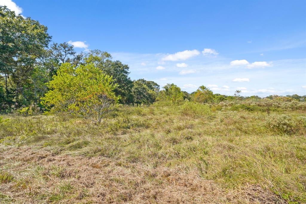 1865 County Road 114 Rd, Garwood, Texas image 8