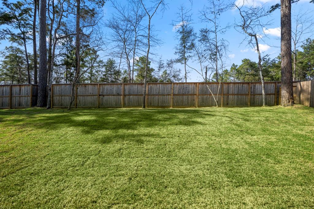 320 Magnolia Bloom Court, Willis, Texas image 38
