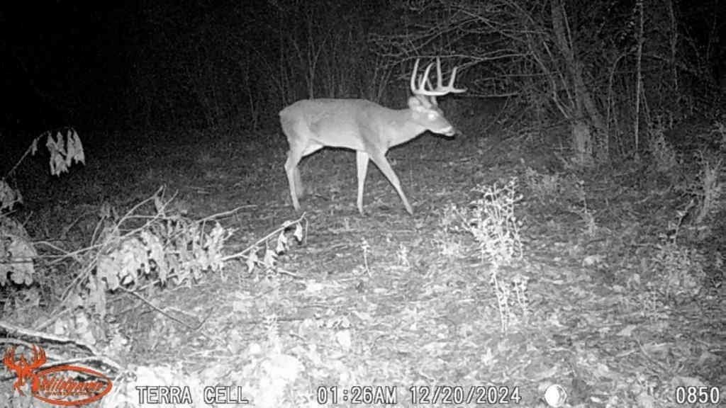 TBD 2 Linn Flat Road, Garrison, Texas image 17