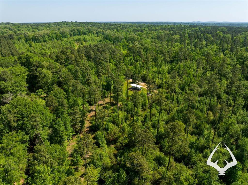 TBD 2 Linn Flat Road, Garrison, Texas image 33