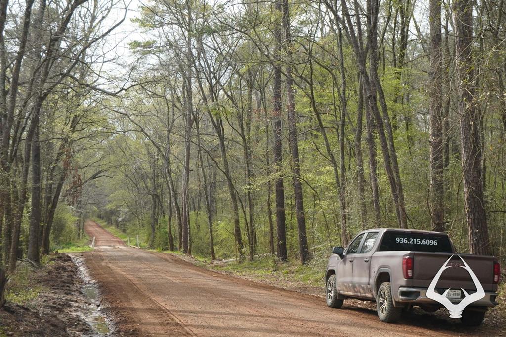 TBD 2 Linn Flat Road, Garrison, Texas image 10