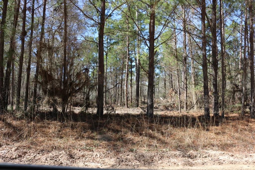 16-2 N Hanson Road, Onalaska, Texas image 10