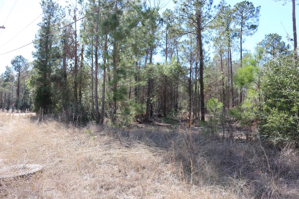16-2 N Hanson Road, Onalaska, Texas image 30