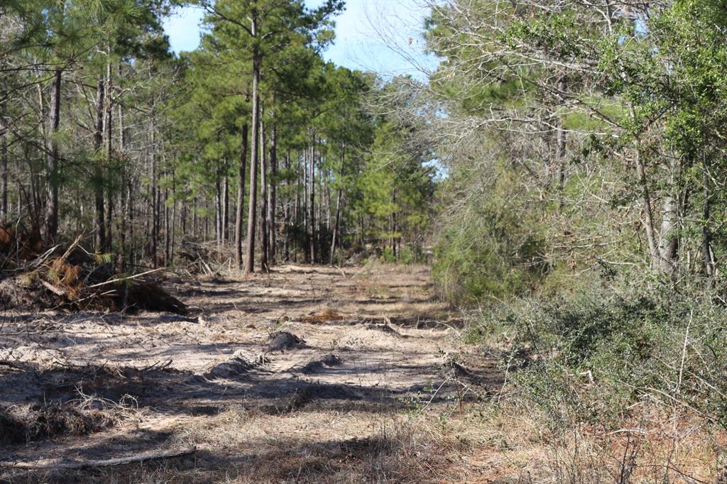 16-2 N Hanson Road, Onalaska, Texas image 35