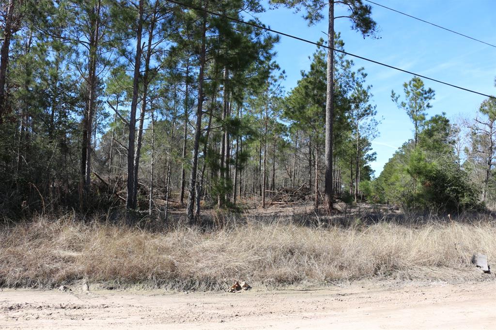 16-2 N Hanson Road, Onalaska, Texas image 24