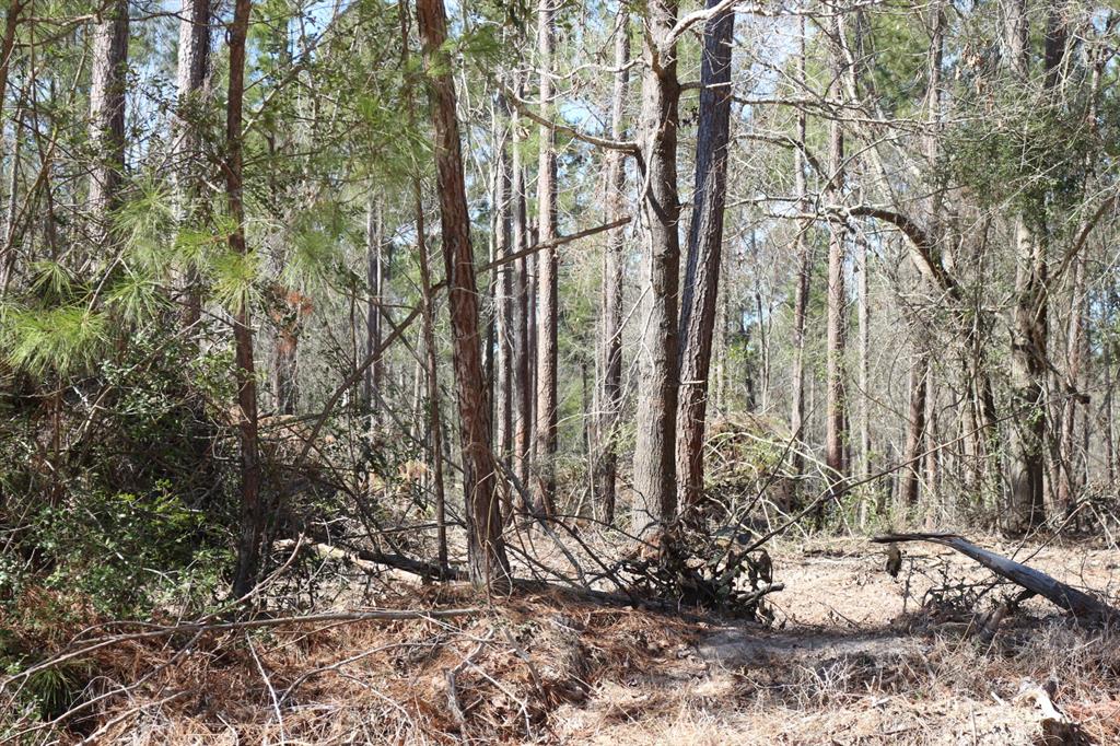 16-2 N Hanson Road, Onalaska, Texas image 3
