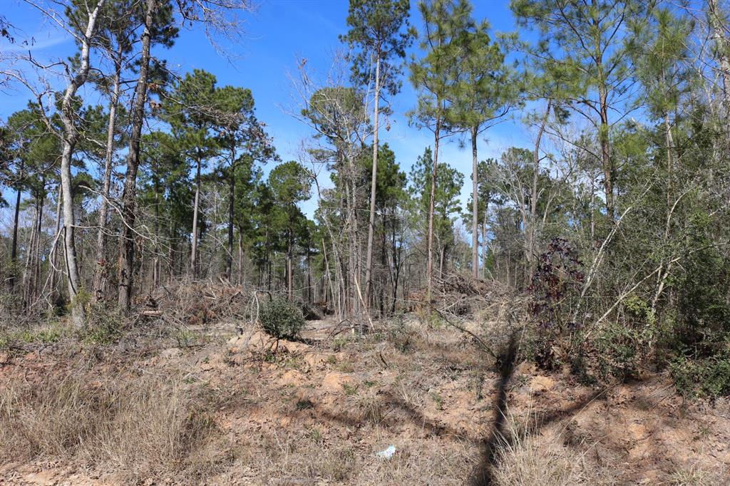 16-2 N Hanson Road, Onalaska, Texas image 42