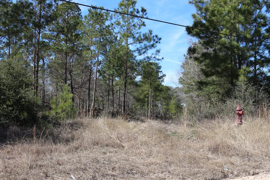 16-2 N Hanson Road, Onalaska, Texas image 25