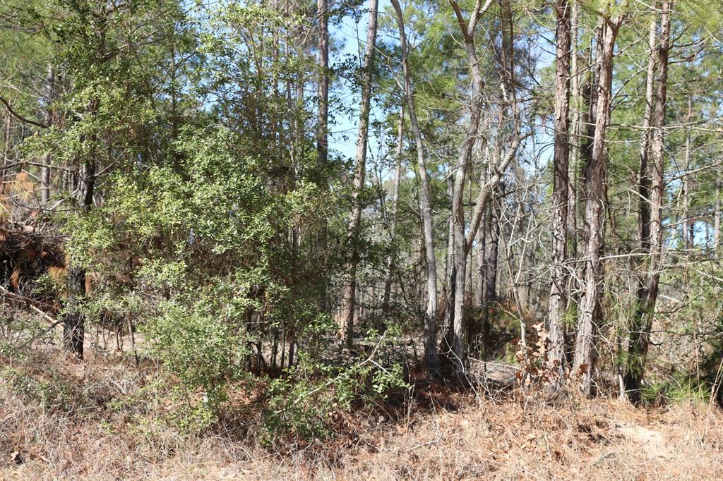 16-2 N Hanson Road, Onalaska, Texas image 15