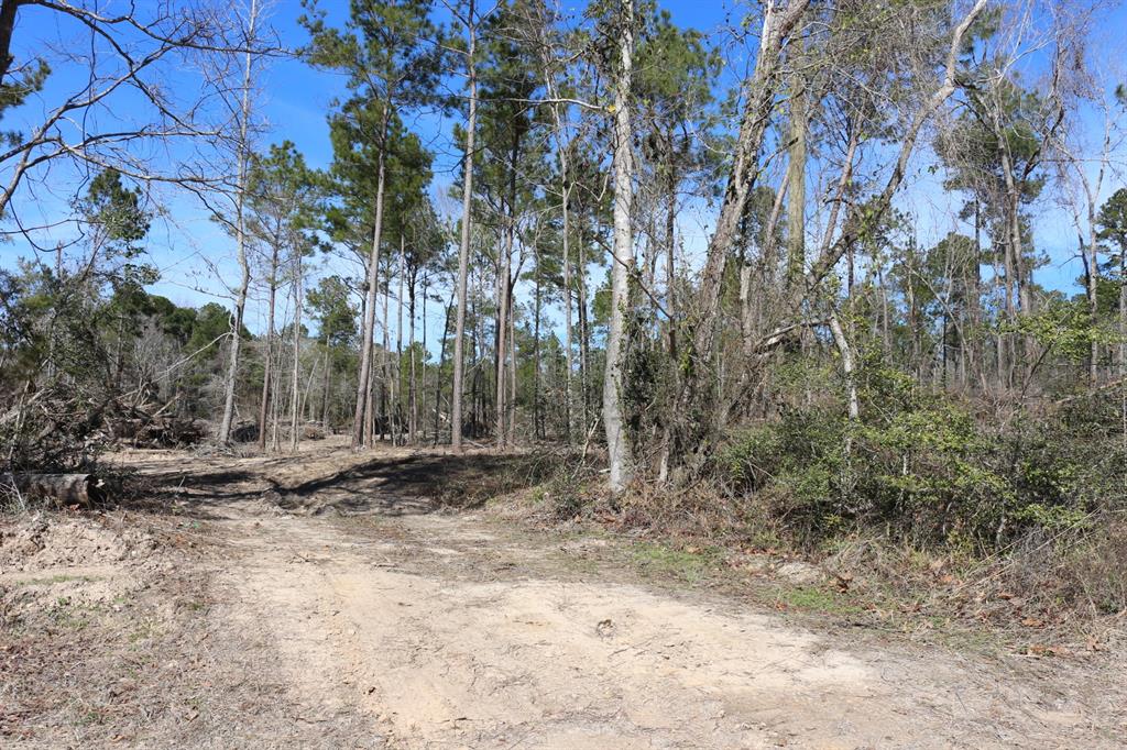 16-2 N Hanson Road, Onalaska, Texas image 37