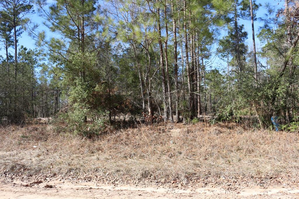 16-2 N Hanson Road, Onalaska, Texas image 18