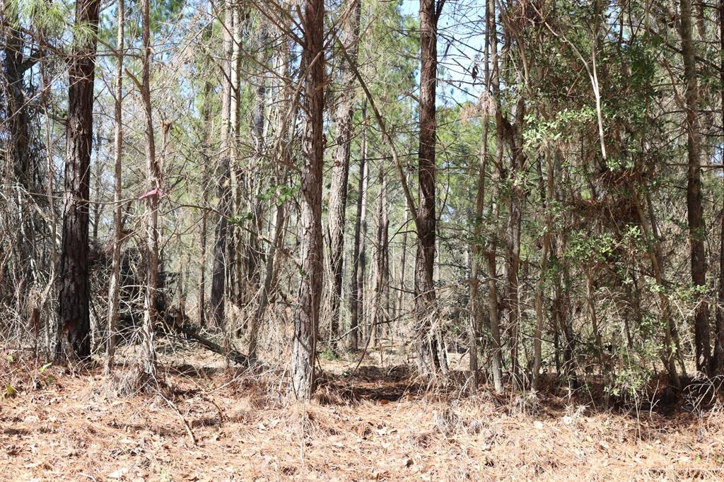 16-2 N Hanson Road, Onalaska, Texas image 13