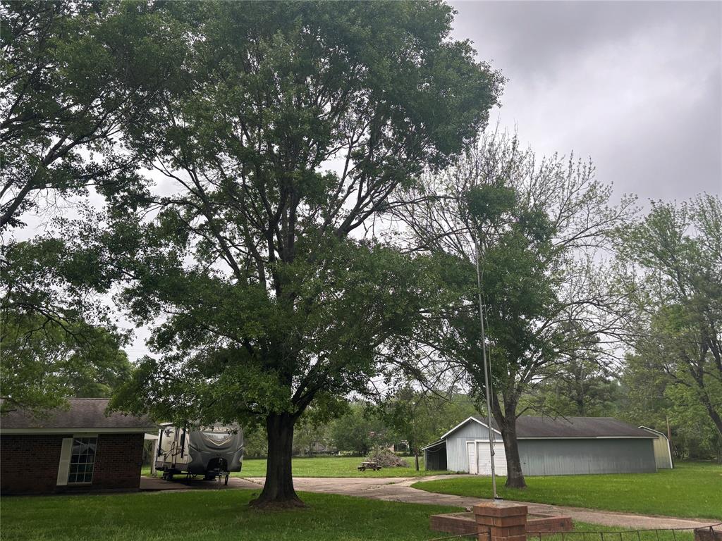 1633 River Road, Goodrich, Texas image 4