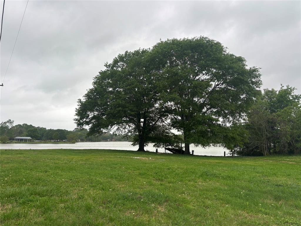 1633 River Road, Goodrich, Texas image 2