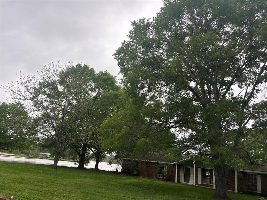 1633 River Road, Goodrich, Texas image 6