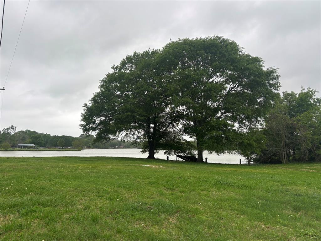 1633 River Road, Goodrich, Texas image 1