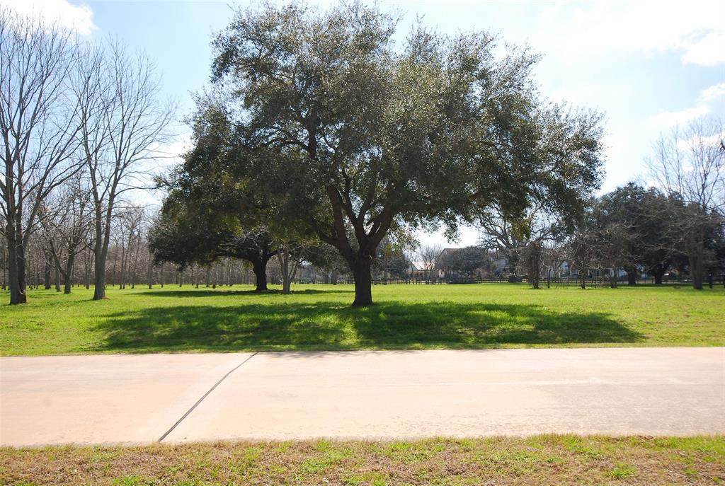 4402 Upper Oxbow Trace, Fulshear, Texas image 5