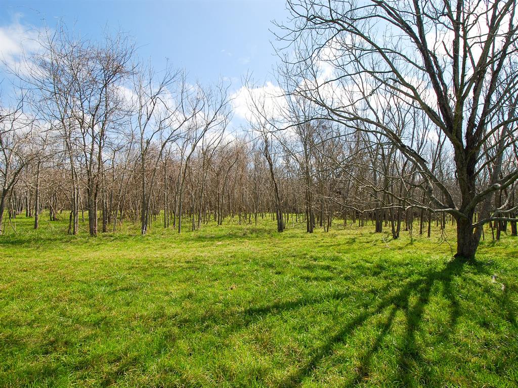 4402 Upper Oxbow Trace, Fulshear, Texas image 11