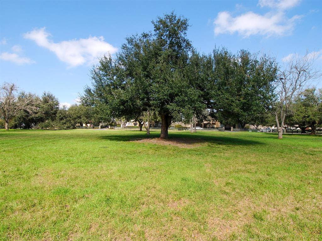 4402 Upper Oxbow Trace, Fulshear, Texas image 7