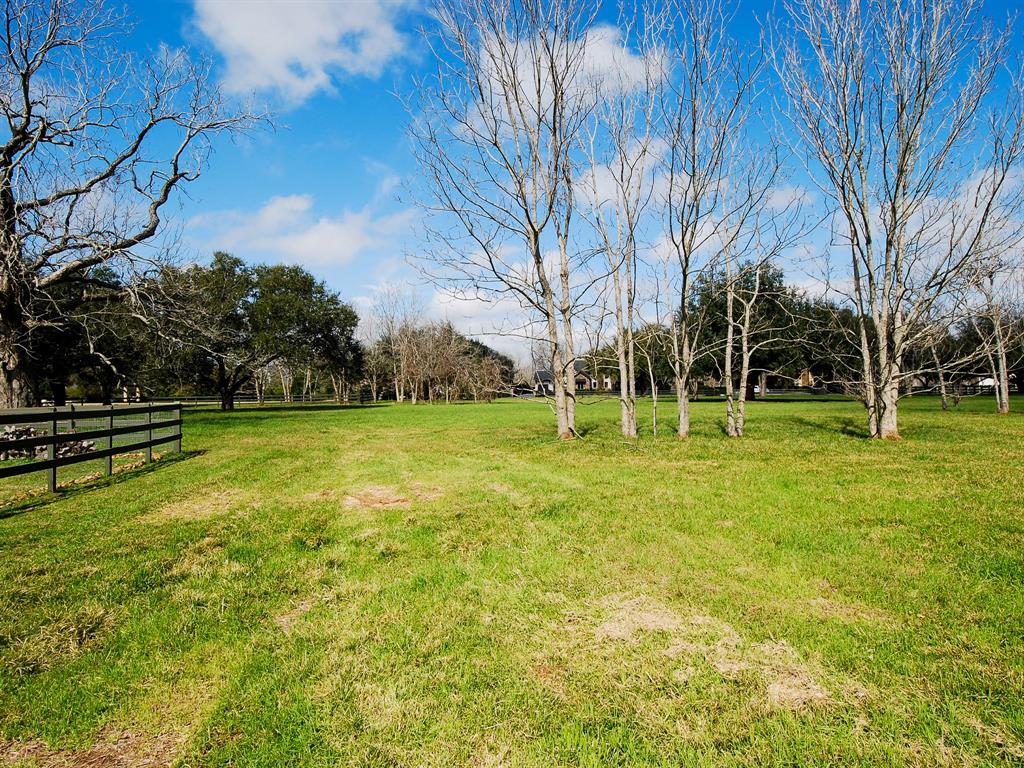 4402 Upper Oxbow Trace, Fulshear, Texas image 9