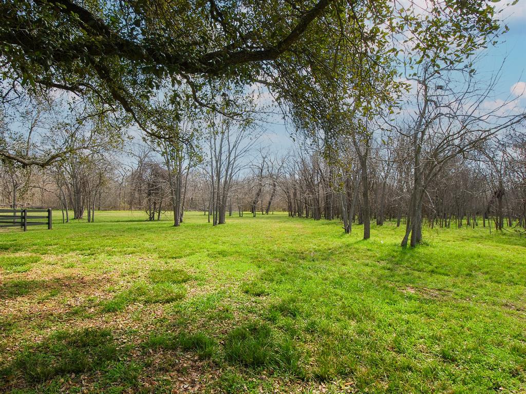 4402 Upper Oxbow Trace, Fulshear, Texas image 1