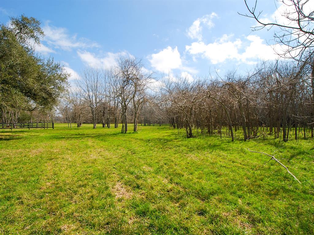 4402 Upper Oxbow Trace, Fulshear, Texas image 10