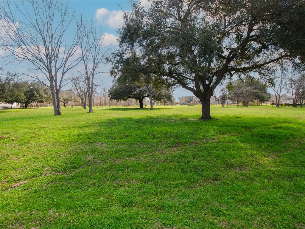 4402 Upper Oxbow Trace, Fulshear, Texas image 6