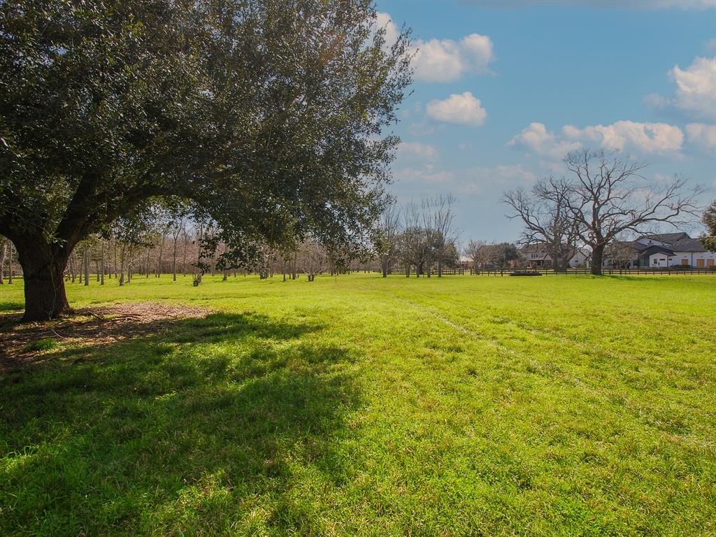 4402 Upper Oxbow Trace, Fulshear, Texas image 8