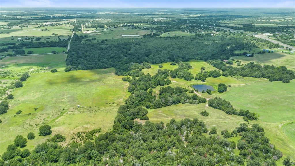 61.95+- Acres Highway 36, Somerville, Texas image 8