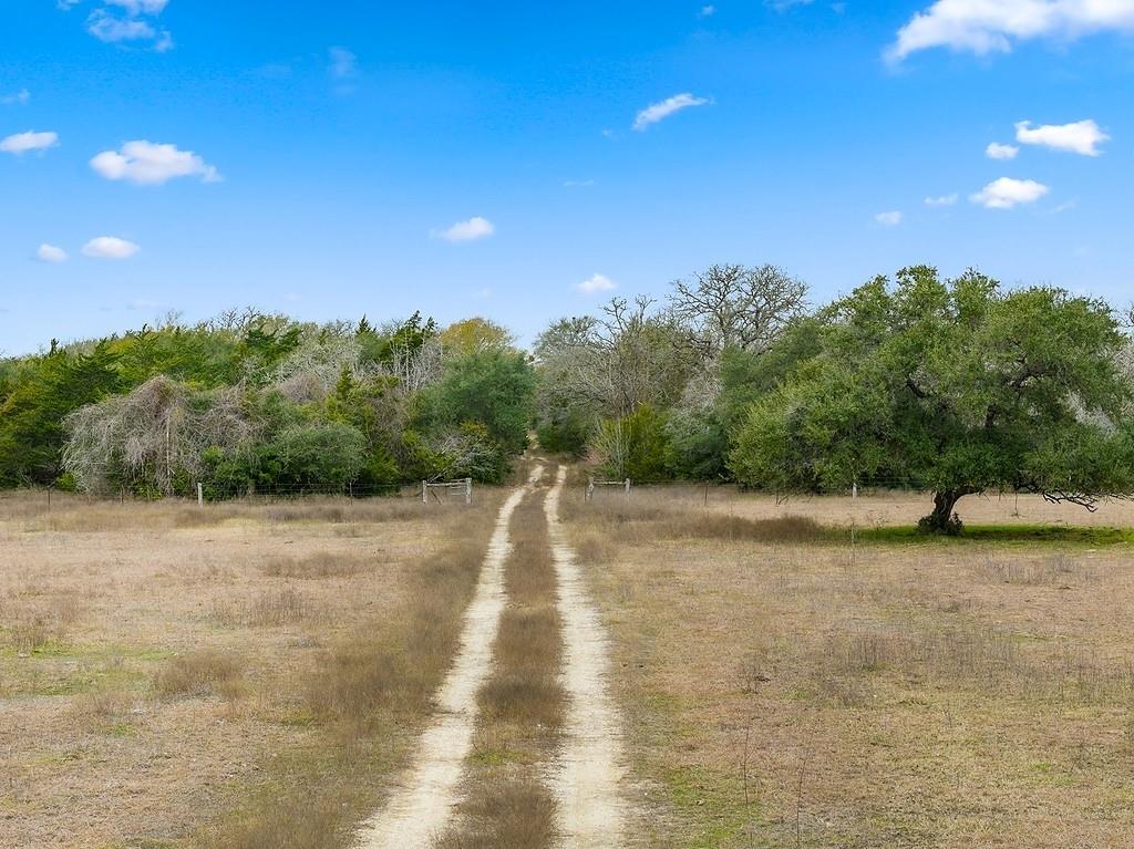 8345 Fm-2145, Ledbetter, Texas image 1