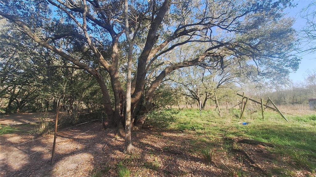 TBD Avenue D, Van Vleck, Texas image 11