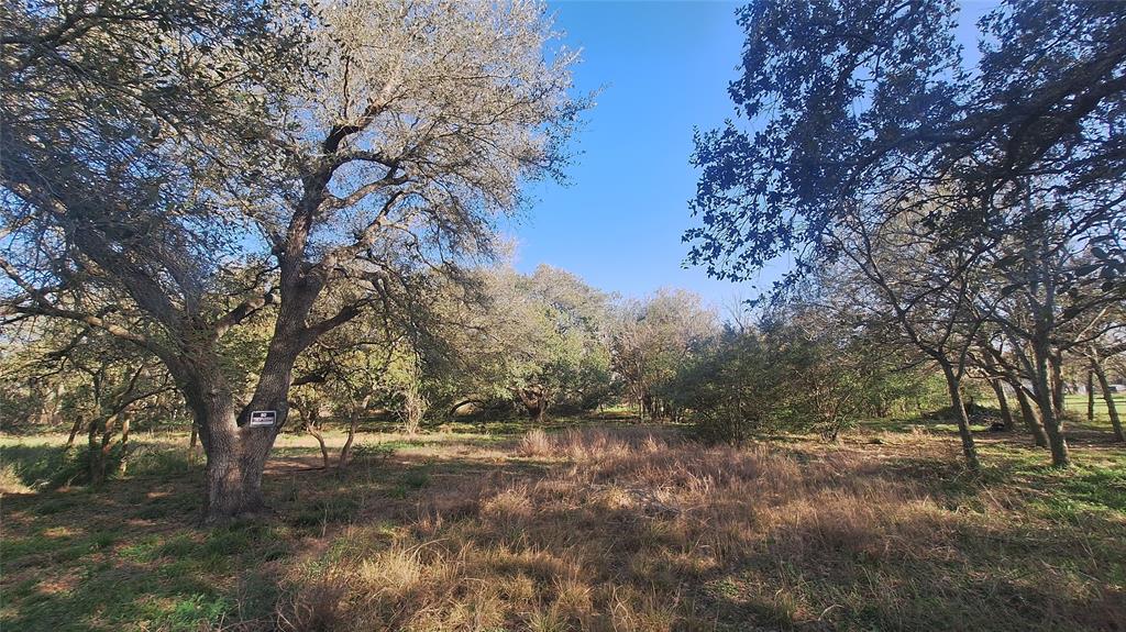 TBD Avenue D, Van Vleck, Texas image 1