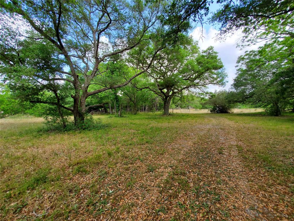 TBD Avenue D, Van Vleck, Texas image 3