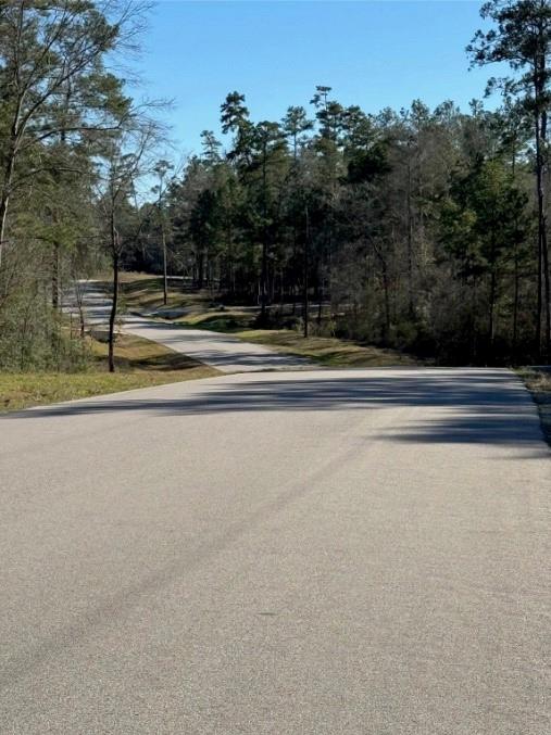 10-22-16 Lonestar Rd Road, Huntsville, Texas image 2
