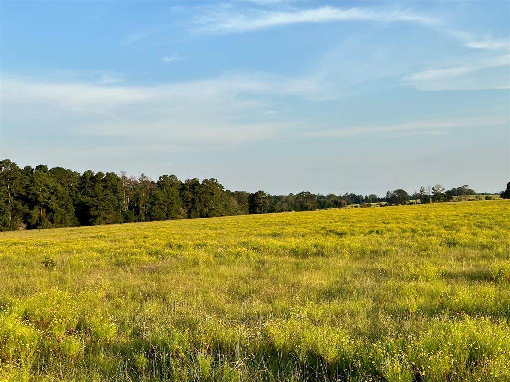 TBD Fm-350 N, Moscow, Texas image 3