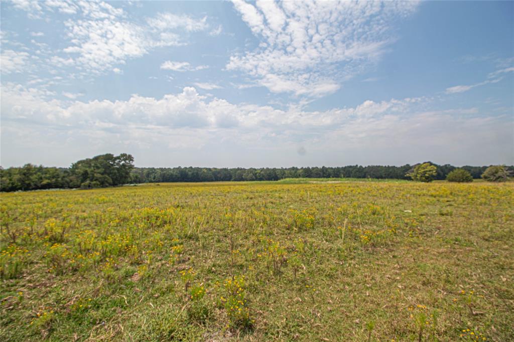 TBD Fm-350 N, Moscow, Texas image 38