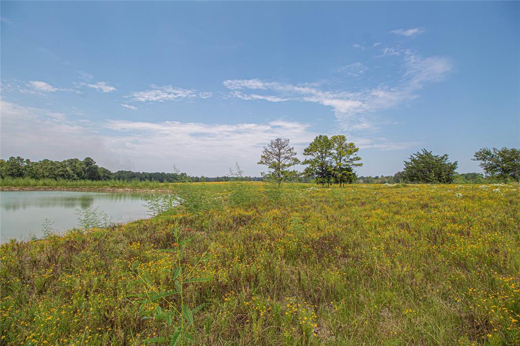 TBD Fm-350 N, Moscow, Texas image 42