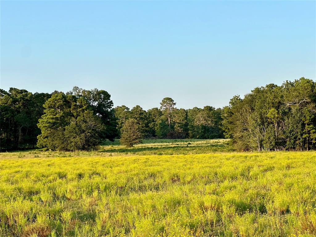 TBD Fm-350 N, Moscow, Texas image 7