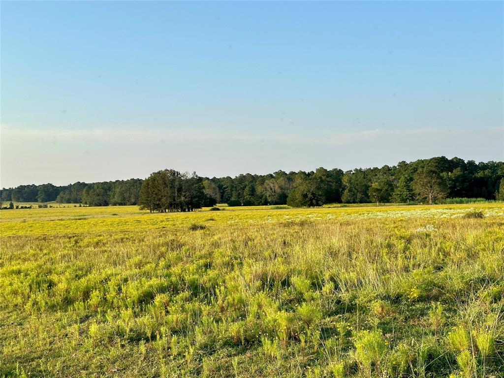 TBD Fm-350 N, Moscow, Texas image 10