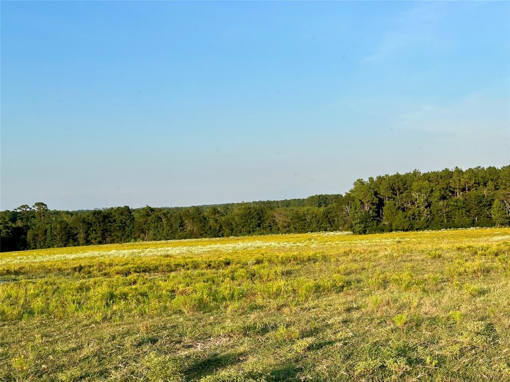 TBD Fm-350 N, Moscow, Texas image 12