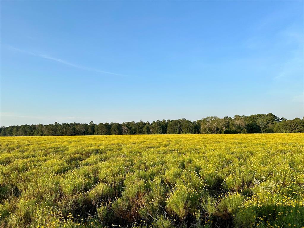 TBD Fm-350 N, Moscow, Texas image 9