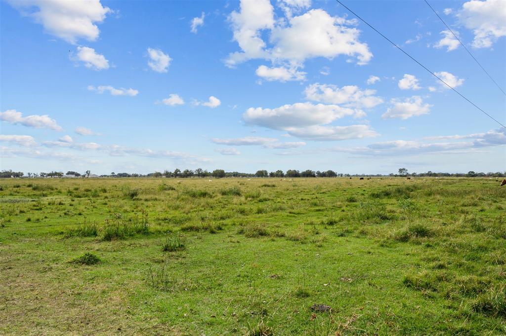 15525 Hurta Road, Needville, Texas image 11