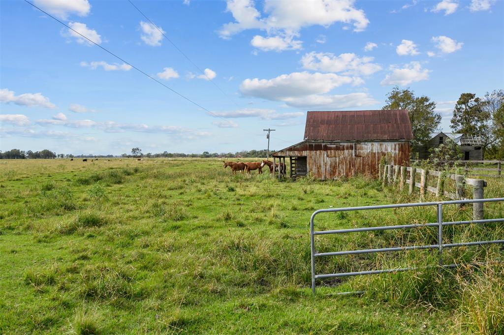 15525 Hurta Road, Needville, Texas image 7