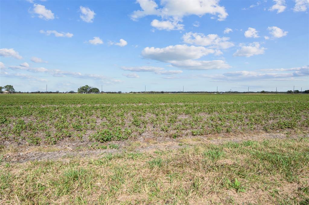 15525 Hurta Road, Needville, Texas image 14